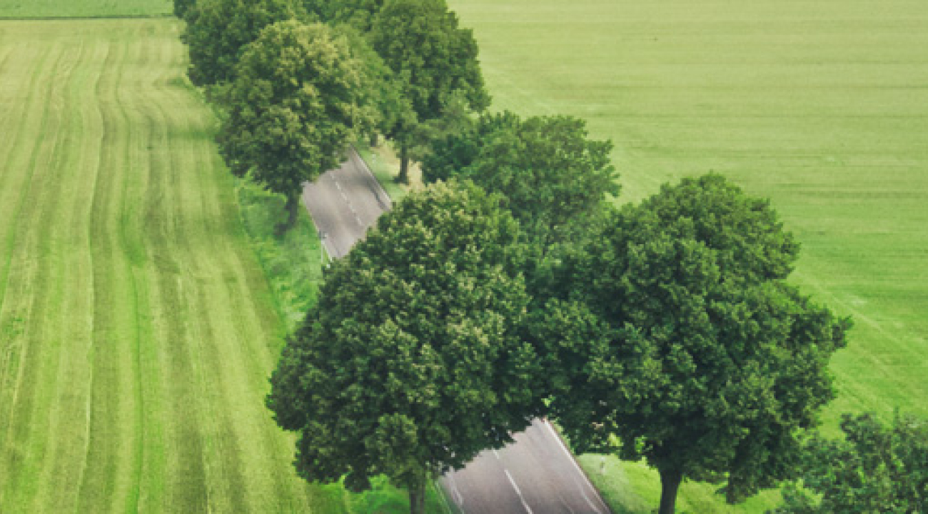 Groene weg