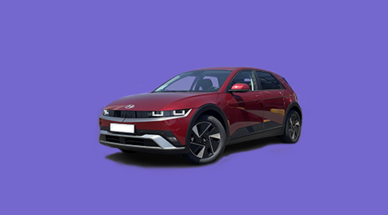 Flexibel leasen X-Large EV