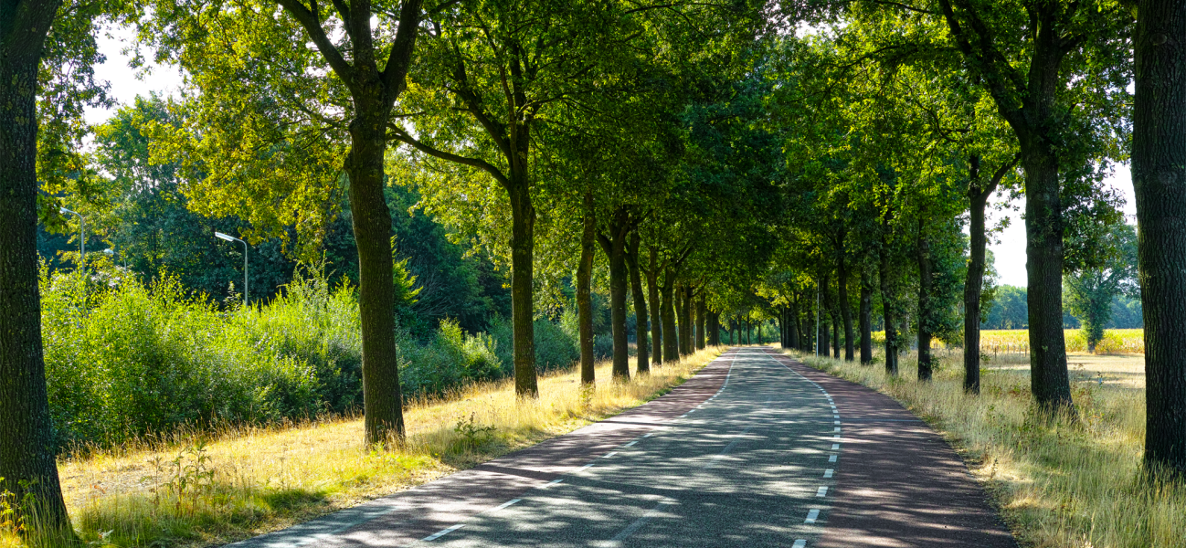 Tips voor de zomer