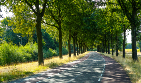 Tips voor de zomer