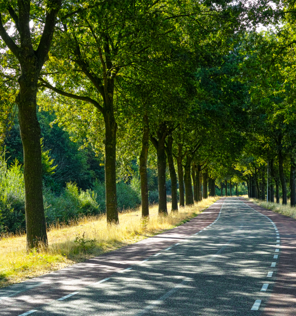 Tips voor de zomer